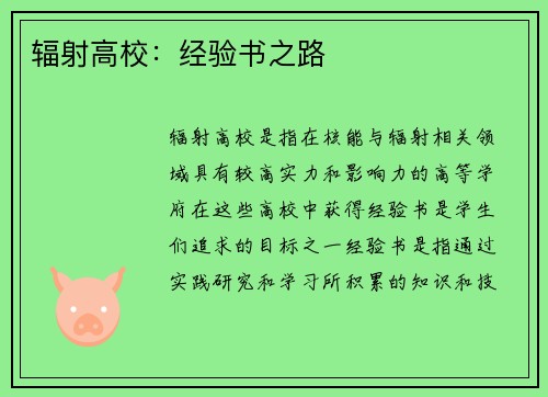 辐射高校：经验书之路